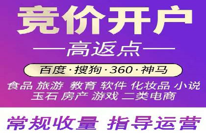 百度推广成功案例：打造行业领军品牌之路